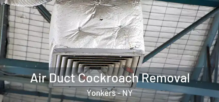  Air Duct Cockroach Removal Yonkers - NY