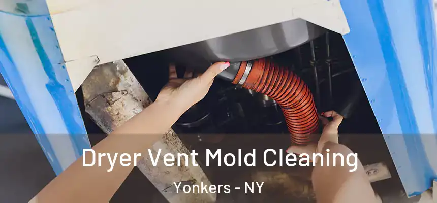  Dryer Vent Mold Cleaning Yonkers - NY