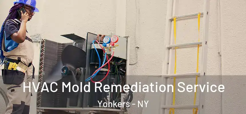  HVAC Mold Remediation Service Yonkers - NY