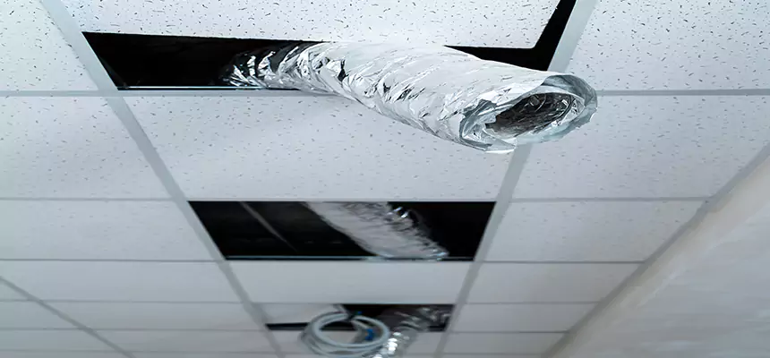 Our Air Duct Pet Hair Removal Services in Yonkers, NY