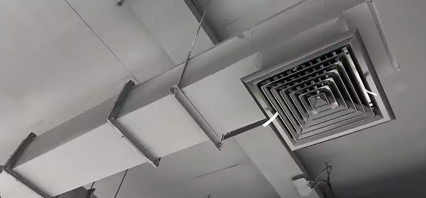 Our Rodent Droppings In Vents Services in Yonkers, NY