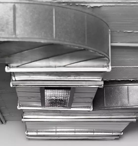 Professional Air Duct Pest Removal in Yonkers, NY