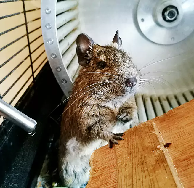 Why Homeowners & Businesses Trust Us Yonkers, NY?